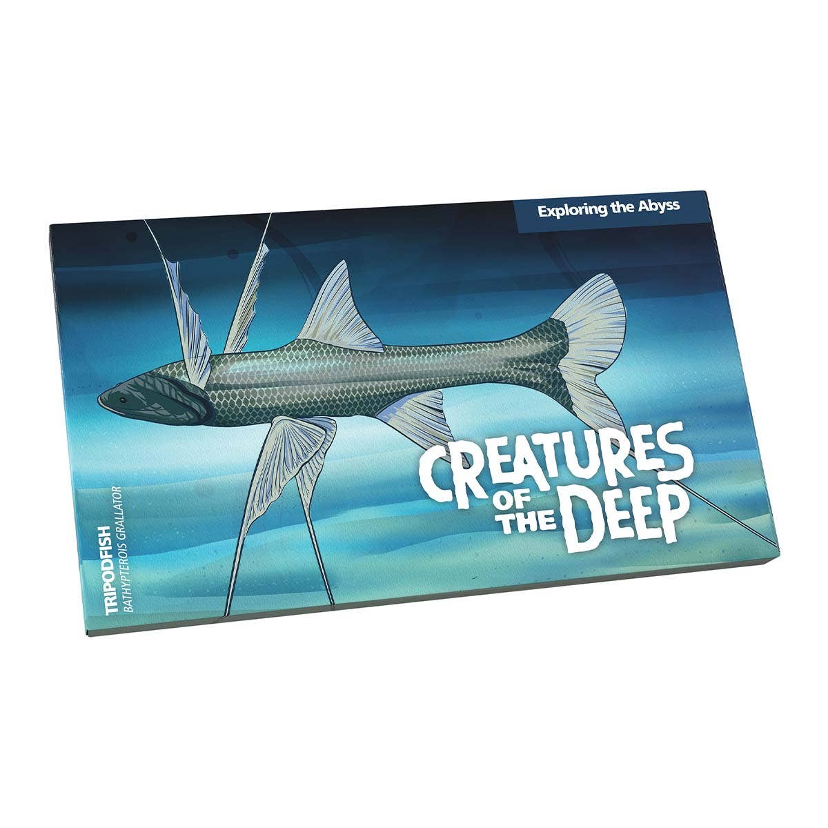 Creatures of the Deep 2023 $1 Mintmark & Privymark Al-Br Uncirculated 4-Coin Set