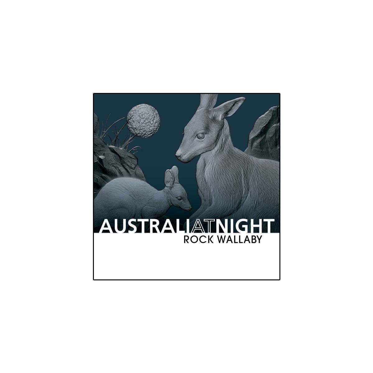 Australia at Night 2024 $1 Rock Wallaby 1oz Silver Black Proof Coin