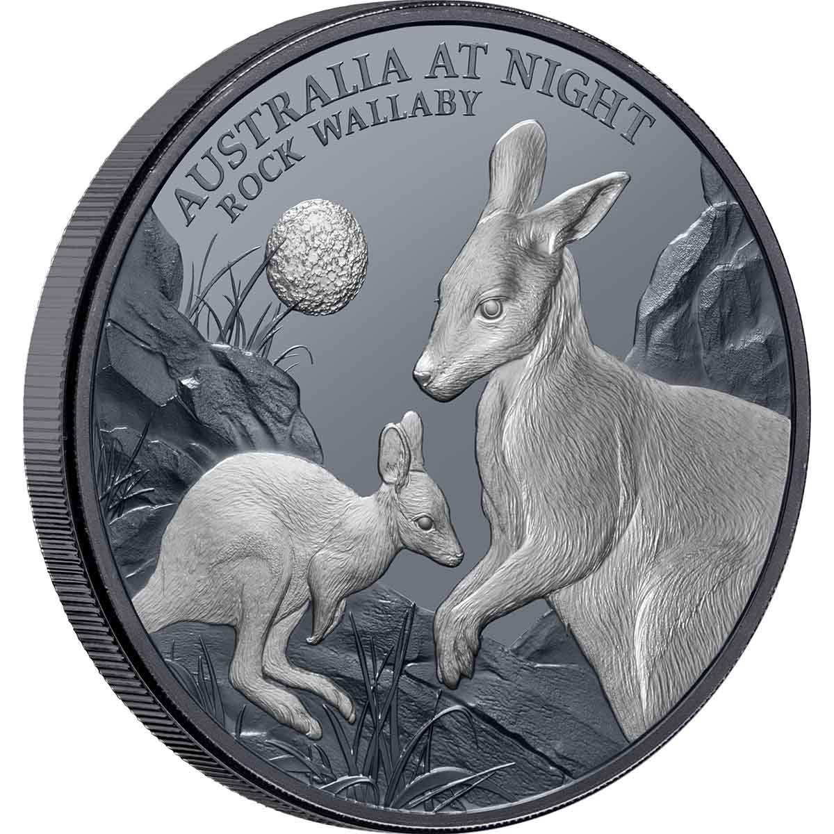 Australia at Night 2024 $1 Rock Wallaby 1oz Silver Black Proof Coin