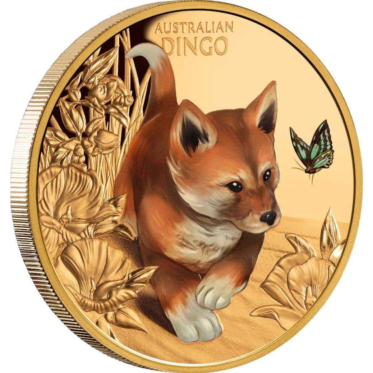 Baby Dingo 2024 $100 1oz Gold Proof Coin