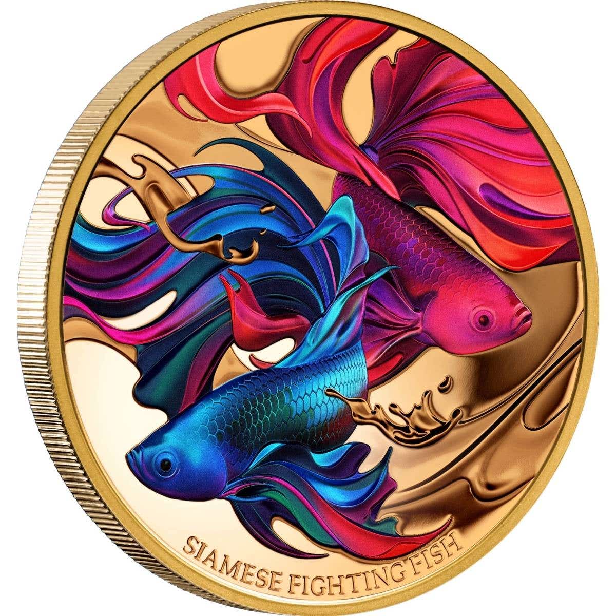 Siamese Fighting Fish 2024 $100 1oz Gold Proof Coin – Downies Collectables