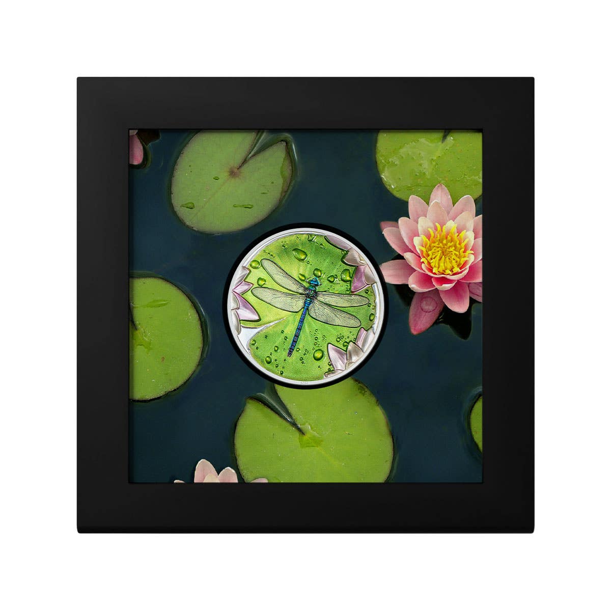 Dragon Fly Lily Pad 2024 $5 Ultra High Relief 1oz Silver Proof Coin