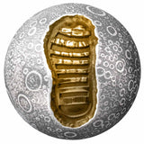 Moon Landing 55th Anniversary 2024 $5 1oz Silver Antique Sphere Coin