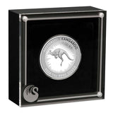 Australian Kangaroo 2024 $1 1oz Silver Proof Coin