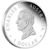 Australian Kangaroo 2024 $1 1oz Silver Proof Coin