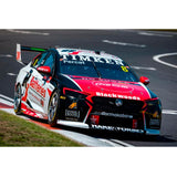 Holden ZB Commodore - #8 Nick Percat - Brad Jones Racing - Race 1, 2021 Repco Mt Panorama 500 - 1:43 Model Car