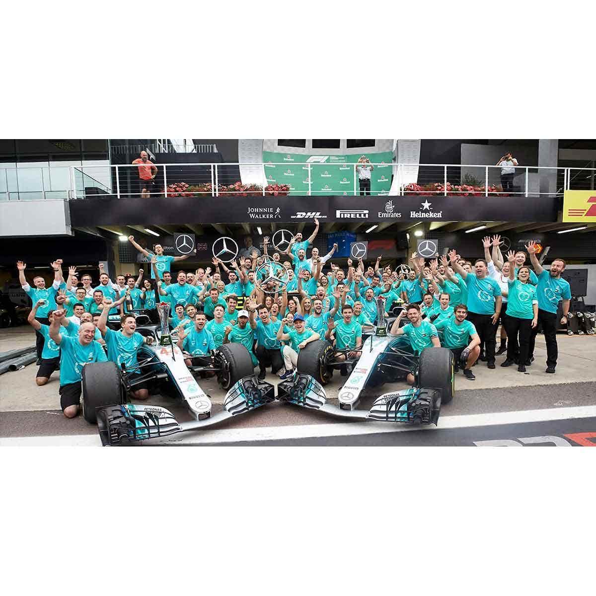 Mercedes-AMG Petronas Formula One Team No.44 + No.77 W12 E Performance - 2nd Abu Dhabi GP 2021 + 6th Abu Dhabi GP 2021  - Lewis Hamilton + Valtteri Bottas.  Formula 1 Constructor's Champion 2021.  Twin set.  Limited 500 - 1:43 Scale Resin Model Car